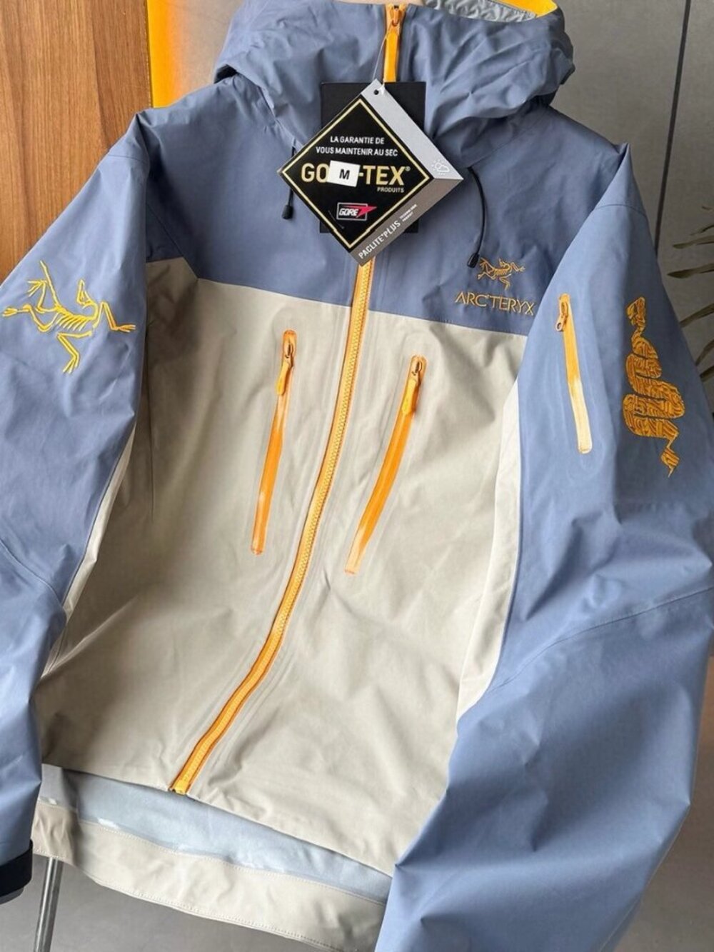 Arc'teryx Alpha SV Two-Tone Hardshell Jacket